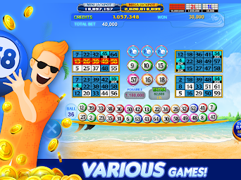 Luck'e Bingo : Video Bingo