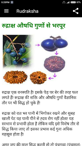 Rudraksha Screen 3
