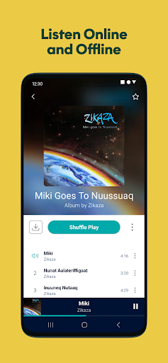 Tusass Music Screen 3
