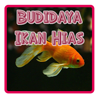 Budidaya Ikan Hias