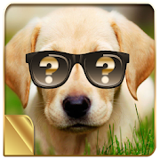 Top 49 Lifestyle Apps Like What's The Perfect Dog For Me? - Best Alternatives
