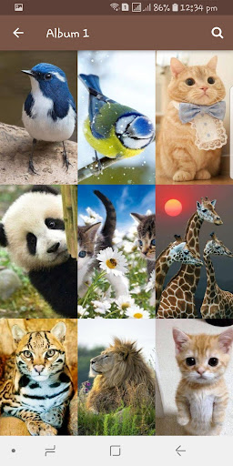 Animal Wallpapers