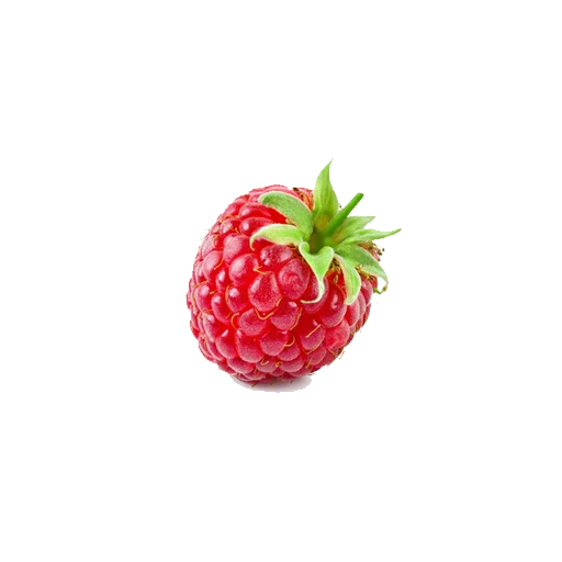 RPi Tracker logo