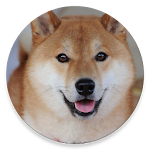 Cover Image of डाउनलोड Walky Doggy 1.0.1 APK