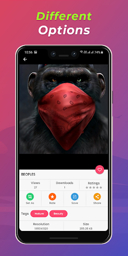 Walland Wallpapers 4KAMOLEDH