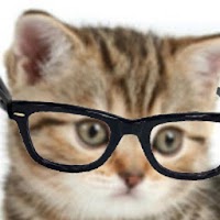 Crazy Hipster Cat