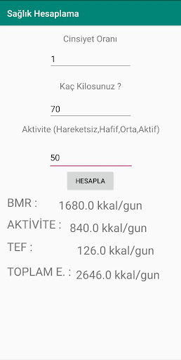 Enerji Hesaplama Screen 2