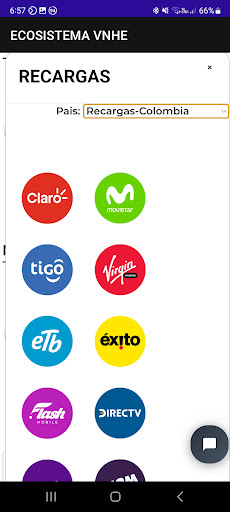 Ecosistema VNHE Screen 2