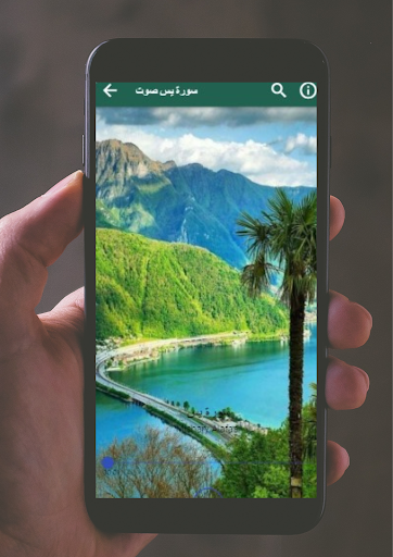 سورة يس للعفاسى