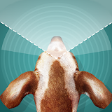 Dog Vision Simulator icon