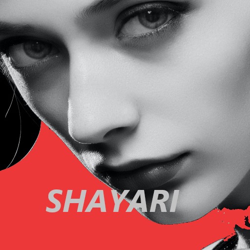 Punjabi Hindi Shayari logo