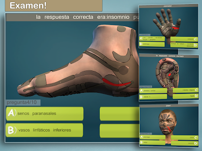 Imagen de la captura de pantalla