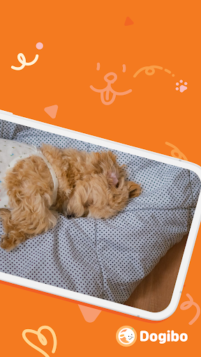 Dogibo for Monitor, AI Pet Cam Screen 2