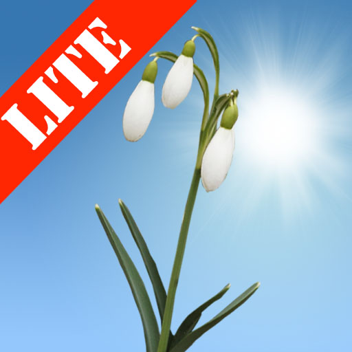 Snowdrops Lite logo