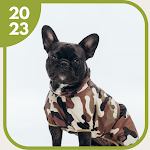 Cover Image of ダウンロード Dogs Outfits Fashion  APK