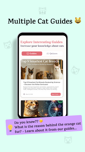 Catsy AI Cat Breed Identifier