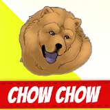 Chow Chow Dogs icon
