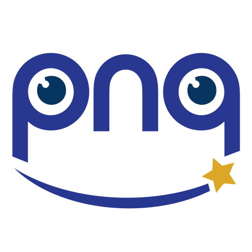 PnQ Insights logo