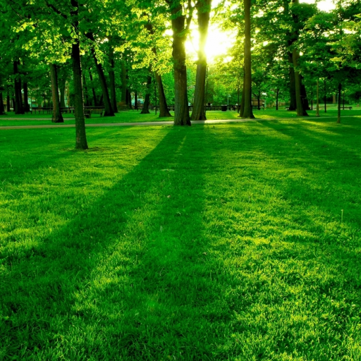 Rádio Aliança Profética