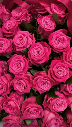 roses and flowers Screen 3