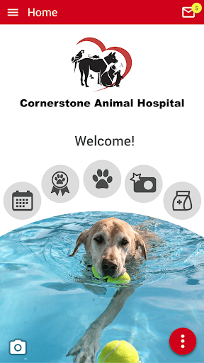 Android application Cornerstonevet screenshort