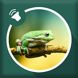 Icon image Frog Sounds