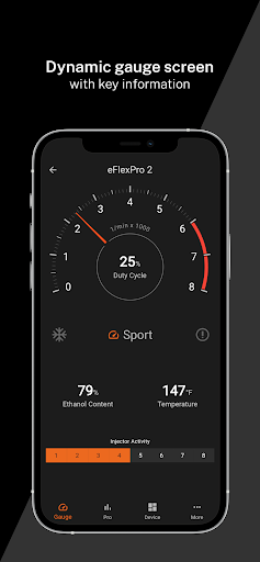 eFlexApp Screenshot 2 - AppWisp.com