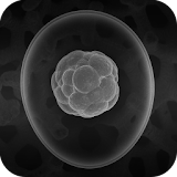 Stem Cells Glossary icon