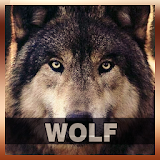 Wolf Sound Tone icon