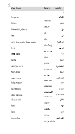 Android application Arabic Afan Oromo Dictionary screenshort