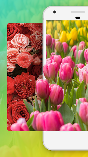 Flower Wallpaper HD Free 2.04 APK screenshots 2