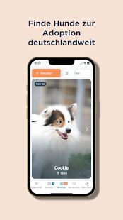 Patzo App - Hundebetreuung Screenshot