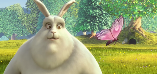 SM Player - Video Player