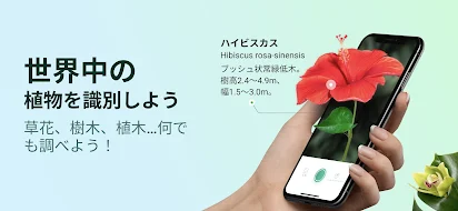 Picturethis 撮ったら 判る 1秒植物図鑑 Google Play のアプリ
