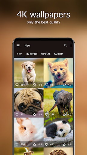 Screenshot of Cute Animal Wallpapers 4K