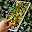 Army Patterns Live Wallpaper❤️ Camouflage Themes Download on Windows