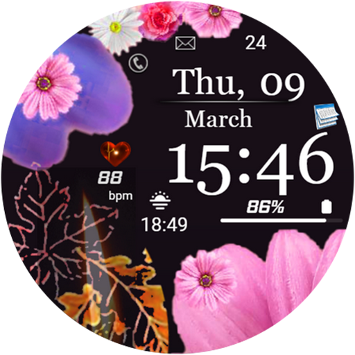 FSW225 WATCHFACE logo