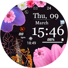 FSW225 WATCHFACE