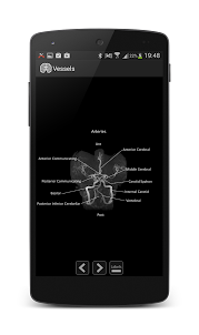 Atlas of MRI Brain Anatomy