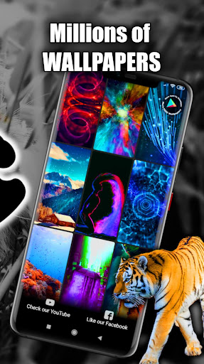 Tiger Wallpaper Live HD/3D/4K Screen 3