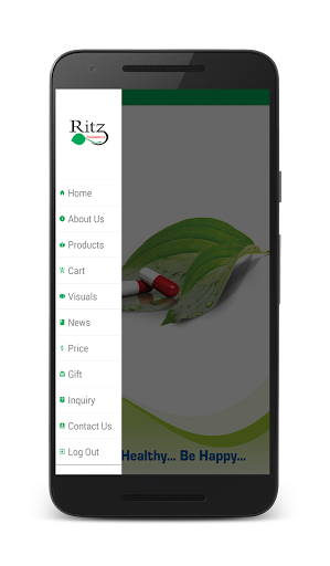 Ritz Formulations Screen 2