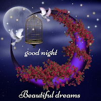 Sweet Dreames And Good Night