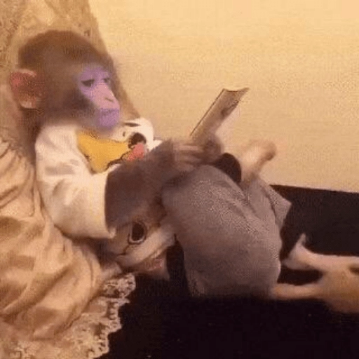 Monkey With a Walkman Gif