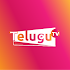 Telugu Tv Tube (తెలుగు టీవీ ట్యూబ్ )1.7