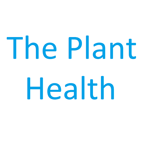 The Plant Health  Icon