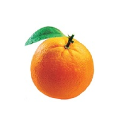 ODM Membership logo