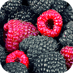 Cover Image of ダウンロード Fruit Wallpapers | hd backgrounds 3.0 APK