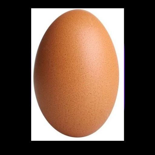 Egg Timing logo