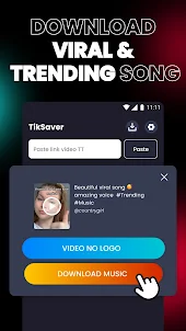 TT Video Downloader - TikSave