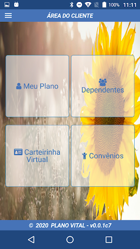 Plano Vital Screen 2